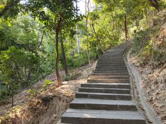 -火炉山森林公园