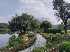 -东莞植物园