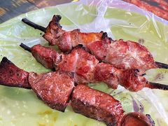-艾力江和田馕坑烤肉店