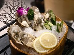生蚝椰子鸡-凤园椰珍·臻品椰子鸡(保利时光里店)