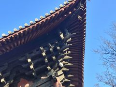 -善化寺