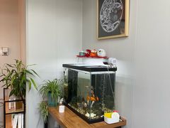 -会麦二手奢侈品包包手表回收寄卖(八佰伴店)