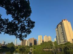 -四海公园(南山区)