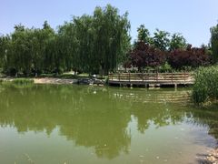 -丰台科技园生态主题公园