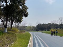 -贡湖湾湿地公园