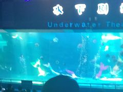 -泉城欧乐堡海洋极地世界