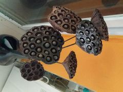 android_upload_pic-叉叉纳里客栈(珠海情侣路唐家湾沙滩店)