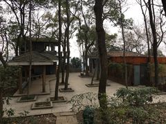 -九曜山