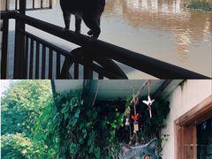 -乌镇东栅景区