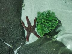 -苏州海洋馆