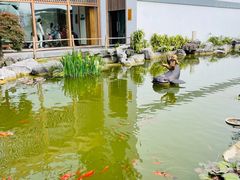 -东方艺术博物馆