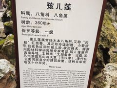 -东山雕花楼