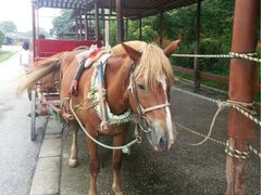 iphone_upload_pic-苏州太湖牛仔风情度假村