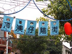 -猫咪博物馆(顶澳仔猫街店)