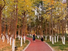 -艾溪湖湿地公园