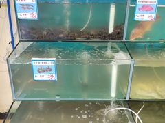 水产区-琼大师东方烤乳猪(亚特兰蒂斯店)