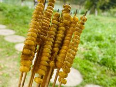 -嬉乐湾休闲旅游区