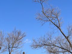 -六鼎山文化旅游区