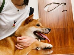 -Line 咖啡(石厦花园店)