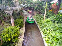 -南宫五洲植物乐园