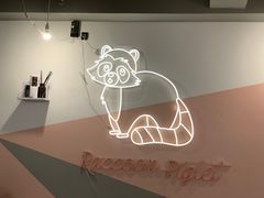 -浣熊柯尔鸭土拨鼠·电玩咖