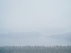 景观位-湖景知味西餐厅•自助餐• 轻食(南京金茂威斯汀大酒店)