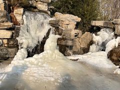 -南宫五洲植物乐园