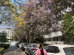 -天鹅到家·保姆月嫂育儿嫂(天河店)