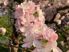 -海棠花溪(元大都城垣遗址公园)