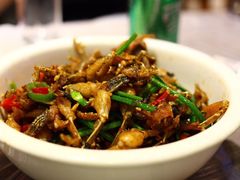 -壹盏灯(惠农店)