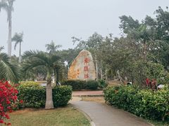 -万绿园