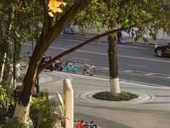 -成都市活水公园