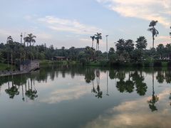 -枫香湖儿童公园