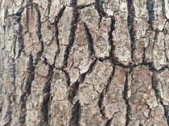 -深圳少年儿童图书馆