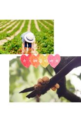 -麦粒鸟亲子游