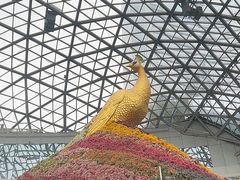 -花之城