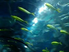 -福州罗源湾海洋世界旅游区