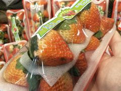 -嘉荣超市(望牛墩店)