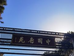 -中国唐苑