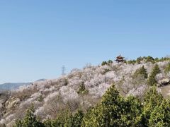 -白水寺森林公园