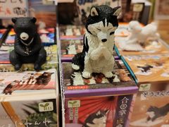 -猫的天空之城概念书店(束河店)