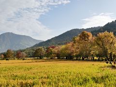 -塔川景区