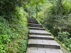-青城山