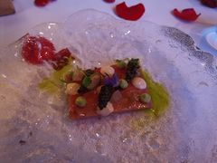 -蝶舍·MAISON PAPILLON