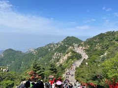 -泰山风景名胜区