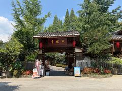 -青城甲(青城山店)