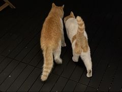 -前叁門