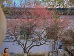 -八大山人梅湖景区