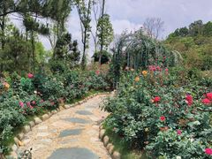 -东莞植物园