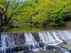 -黄山翡翠谷景区